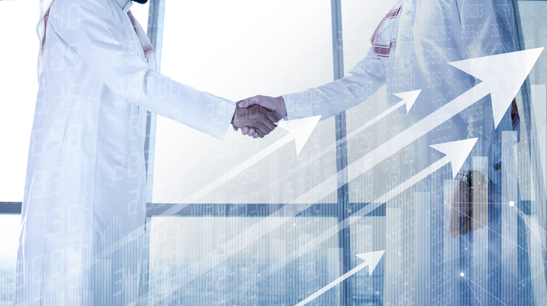 sme partnership programs